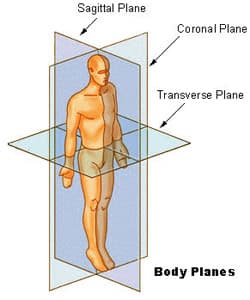 Body Planes
